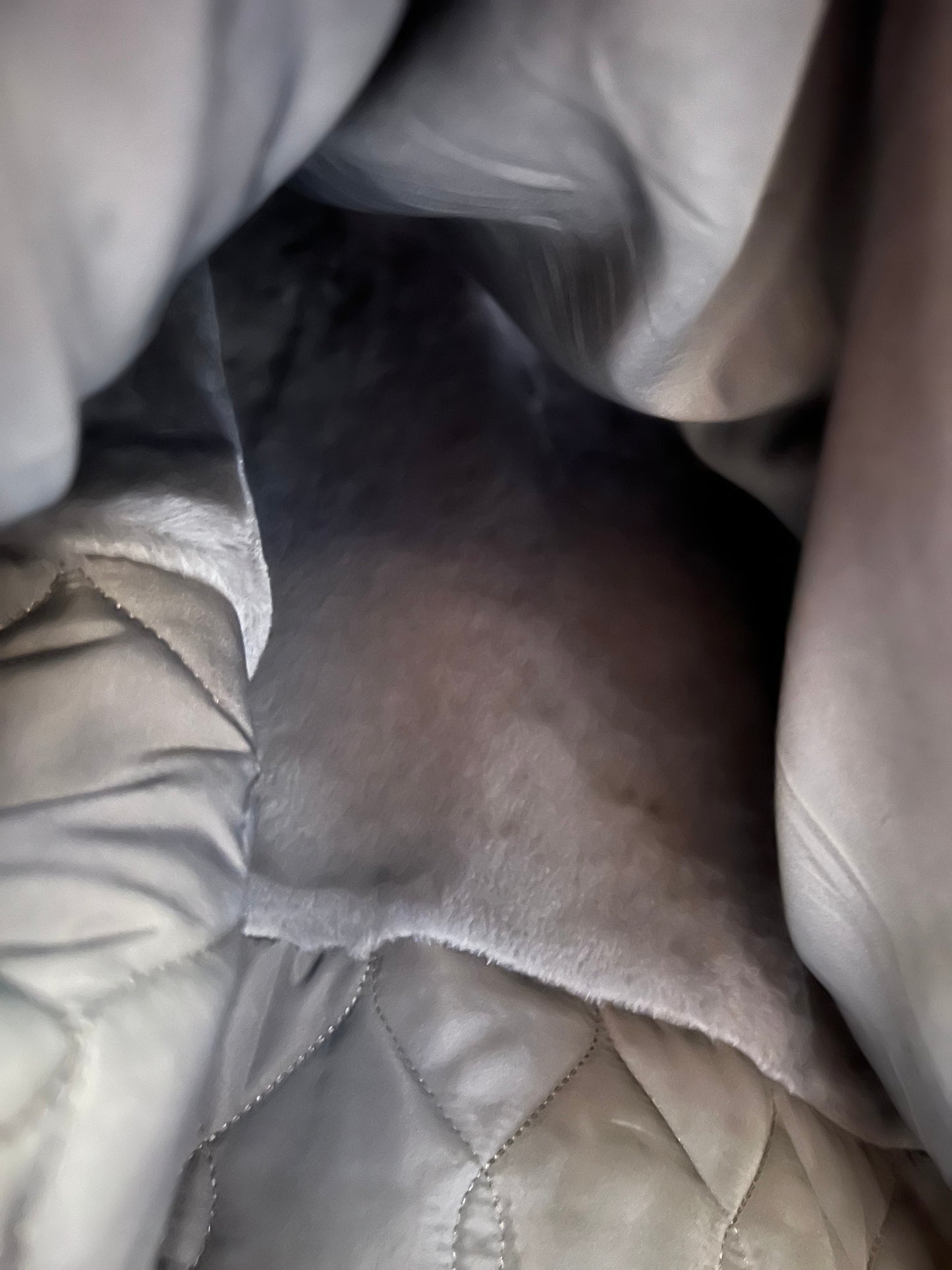 Roma Genuine Silver Fox Fur Rabbit Fur Insulated Parka in Red