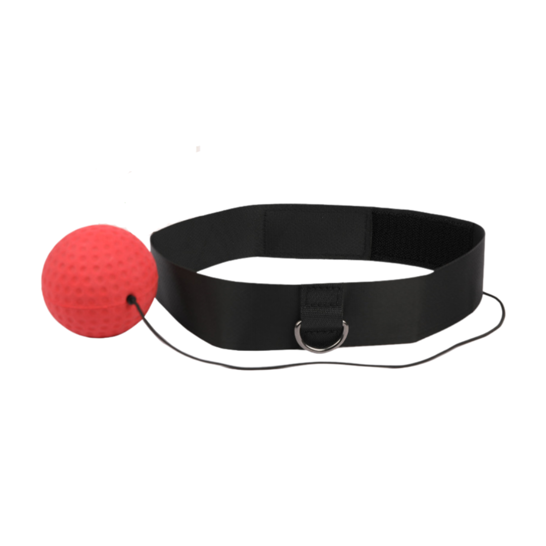 AgilitySphere | Dynamic Reflex Training System for Enhanced Coordination 1