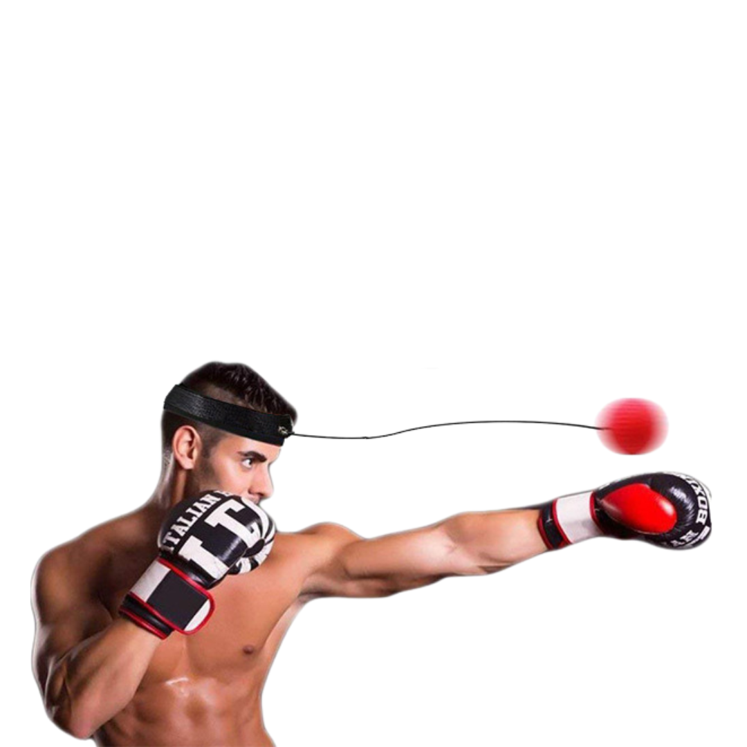 AgilitySphere | Dynamic Reflex Training System for Enhanced Coordination 2