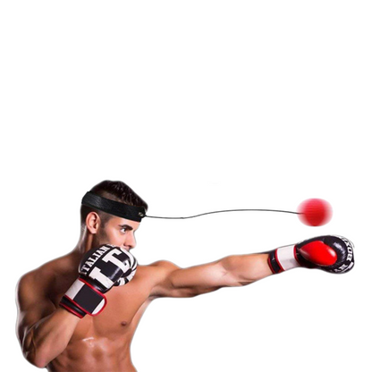 AgilitySphere | Dynamic Reflex Training System for Enhanced Coordination 2