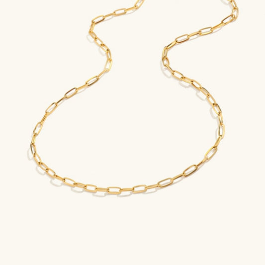 Amber Gold Chain Necklace | Durable Stainless Steel-Plated 14k Gold 0