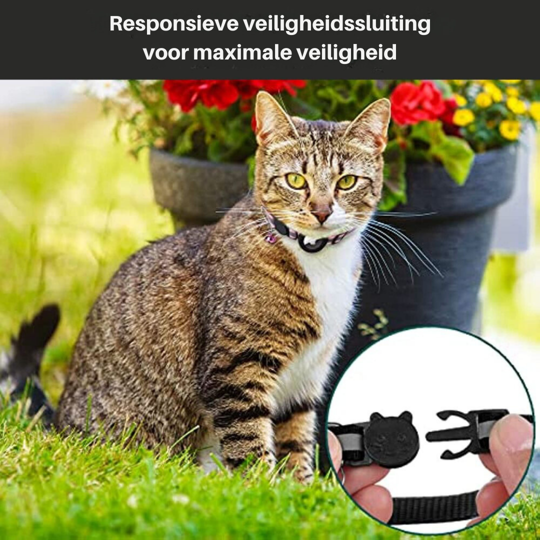 Cat GPS Tracker Collar | Quick Release Safety Closure and Reflective Design 4