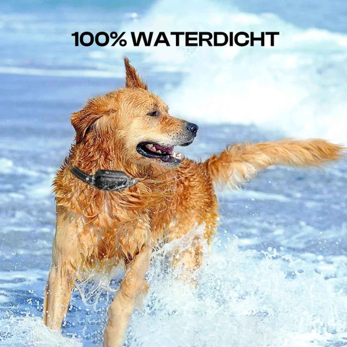 Dog Training Collar | Waterproof Shock Collar with Remote Control, 16 Levels 4