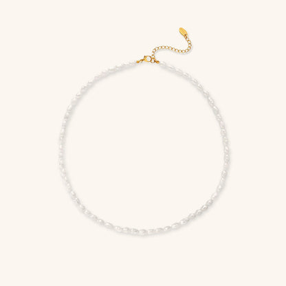 Freshwater Pearl Choker Necklace | Waterproof Gold Chain with Elegant Design 0