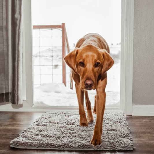 Highly Absorbent Dog Mat | Non-Slip Design for All Floor Types 0