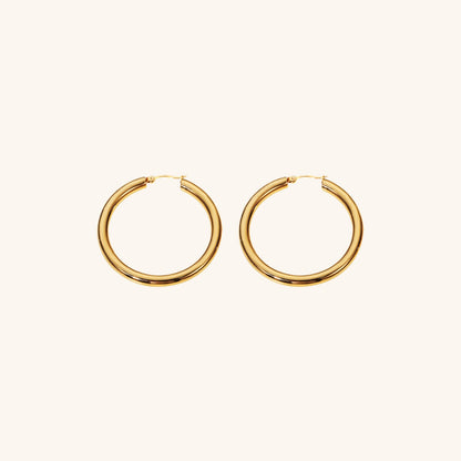 Wide Hoop Earrings | Elegant Stainless Steel-Plated 18k Gold Design 6